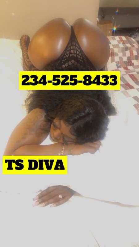 Escorts Springfield, Massachusetts YOUR PRIVACY🤫🤐 IS MY MAIN PRIORITY‼️TS BIG BOOTY DIVA