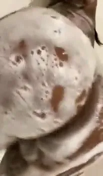 Tayy Knoxx video 1