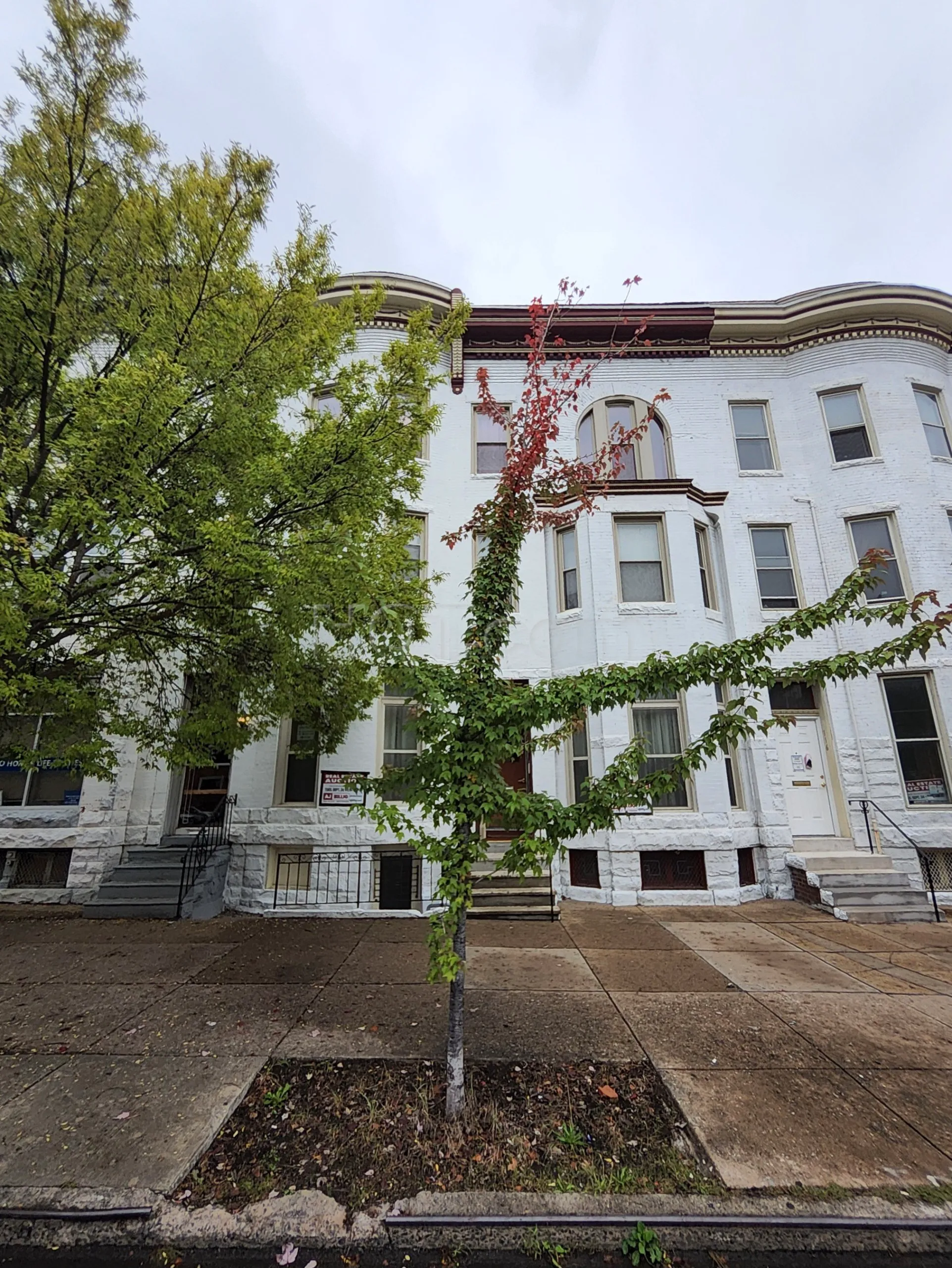 Baltimore, Maryland Noni Therapy