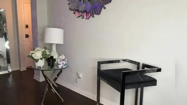 Tsmia video 1