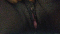 Escorts Raleigh, North Carolina Ms Thickums