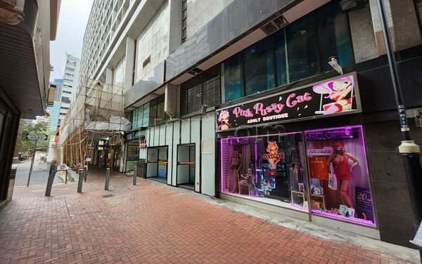 Sex Shops Hong Kong, Hong Kong Pink Pussy Cat