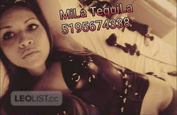Escorts Windsor, Connecticut Multiple Hour Deal MiLa TequiLaOne Shot is Never enough