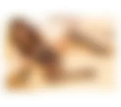 Escorts Paddington, England MONALISA IS BACK