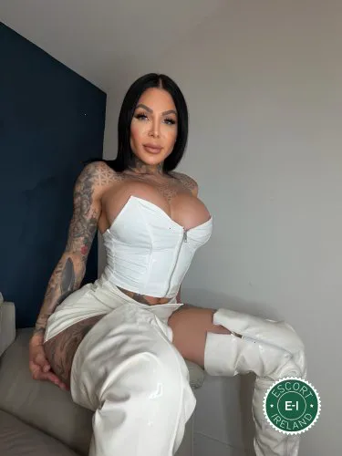 Escorts Belfast, Northern Ireland TS Vanessa Jhons