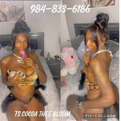 Escorts Knoxville, Tennessee Cocoa