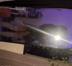 Escorts Norfolk, Virginia Brazilian girl 🫣