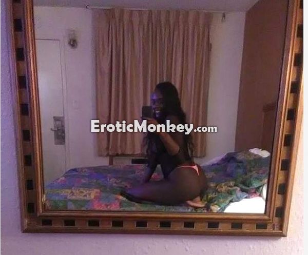 Escorts Tampa, Florida Harmony