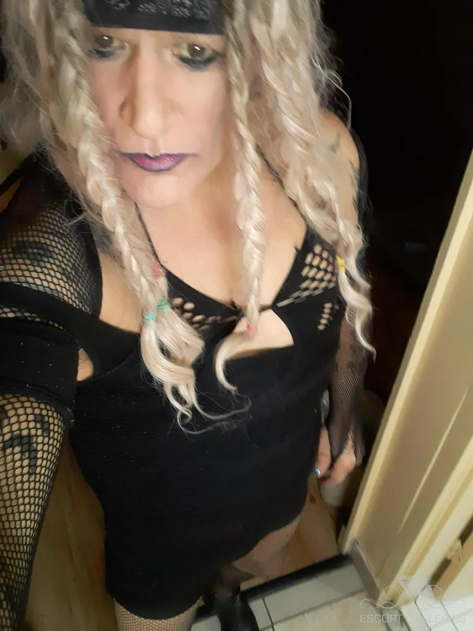 Escorts Charlotte, North Carolina null