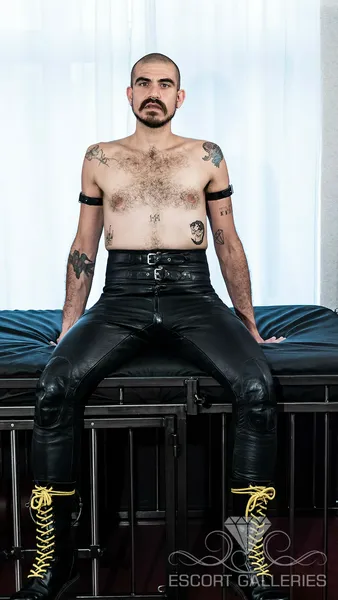 Escorts Berlin, Germany null