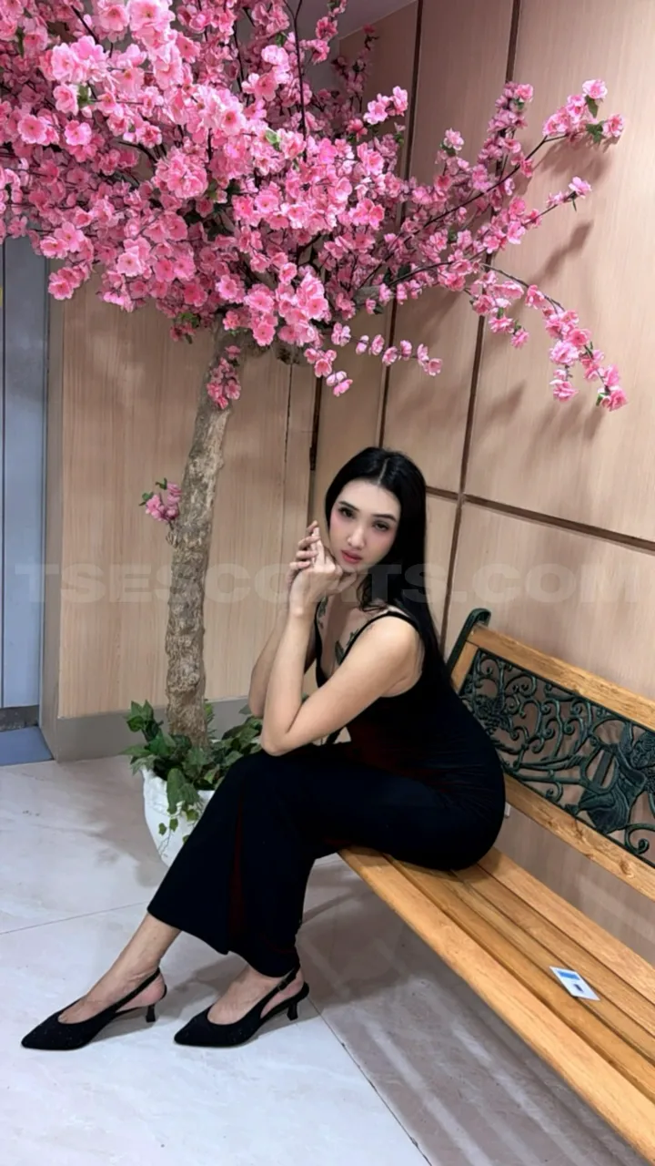 Escorts Taipei, Taiwan YukiV Meetup/Camshow