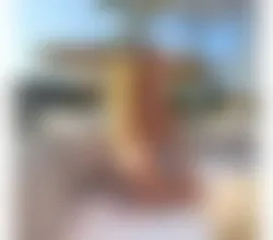 Escorts Stony Stratford, England Ts Melissa Top and bottom Full ServiceParty❤️