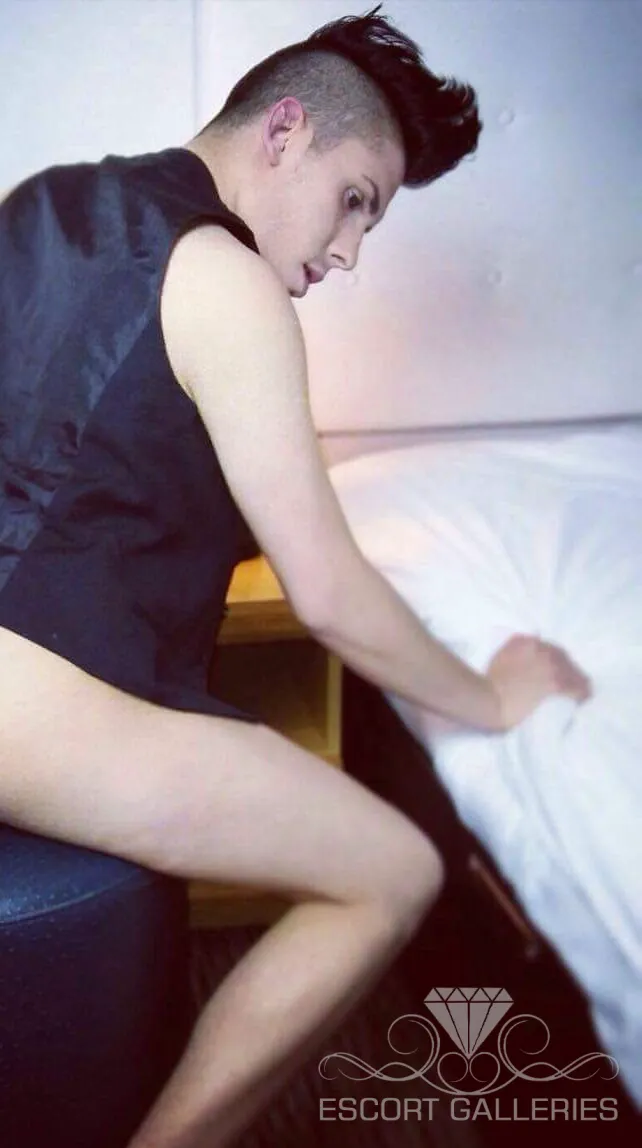 Escorts Arad, Romania null