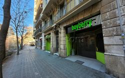 Barcelona, Spain Boyberry