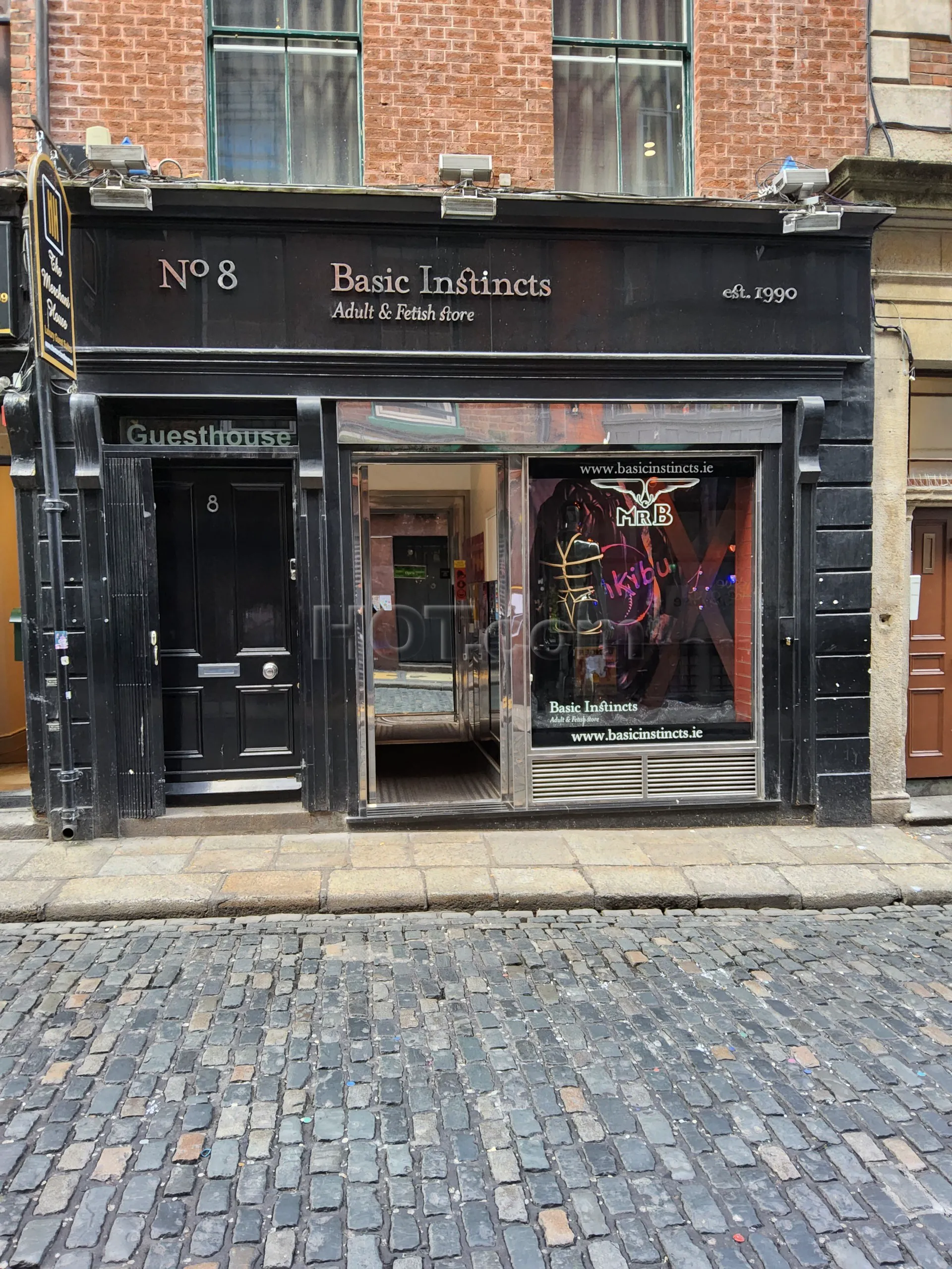 Dublin, Ireland Basicinstincts.ie