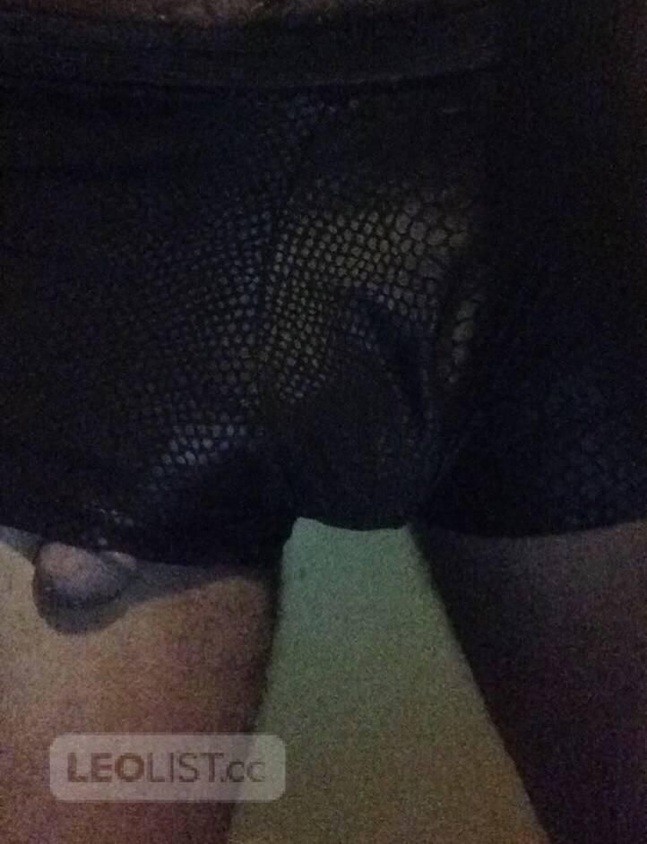Escorts Chatham, Illinois Back in Town Let Me Make You CUM !!!!