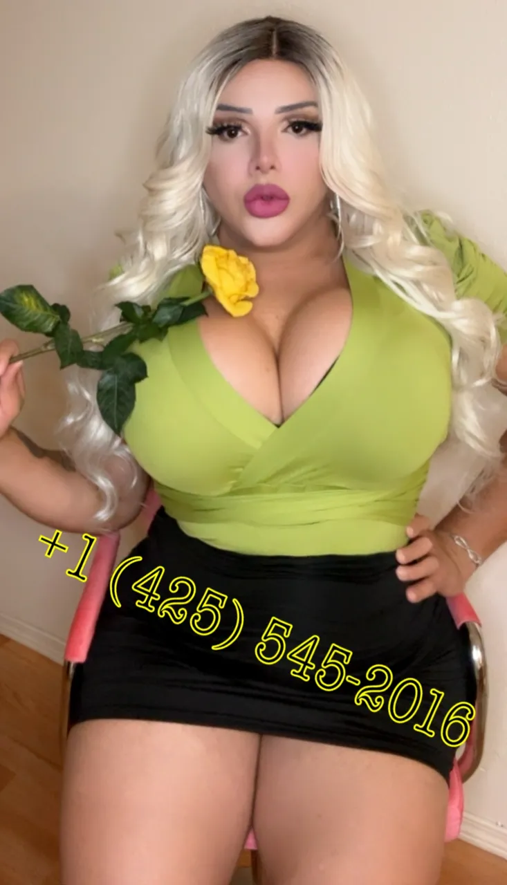 Escorts Seattle, Washington Available, Big Cock