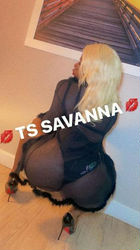 Escorts Hampton, Virginia outcalls only🚗💦👅TS SAVANNA IS BACK IN TOWN!!👅💦‼UPSCALE MEN ONLY!!💋LET ME DRAIN YOU DADDY👅 OUTCALLS REQUIRES A SMALL DEPOSIT FEE TO MAKE SURE THERES NO GAMES BEING PLAYED‼💋💦👅