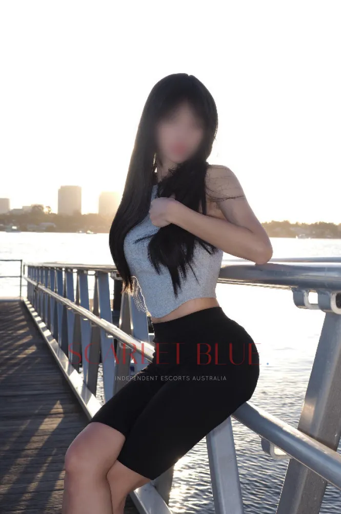 Escorts Adelaide, Australia Stephanie An 


