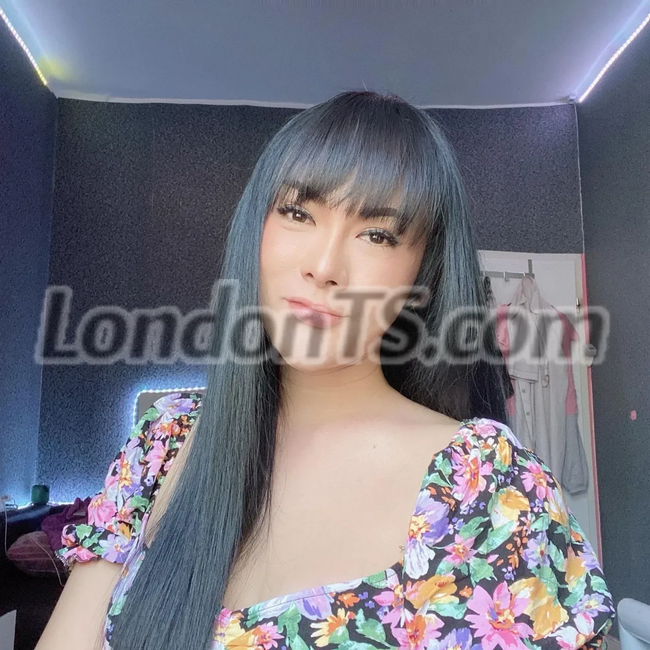 Escorts London, England TS Coco Huge