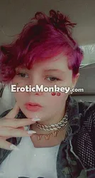 Escorts Clarksville, Tennessee Ms Miami