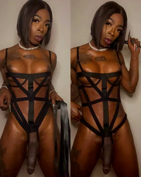 Escorts San Antonio, Texas Amazingly Beautiful