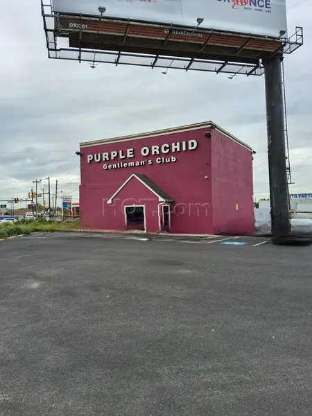 Strip Clubs Philadelphia, Pennsylvania Purple Orchid