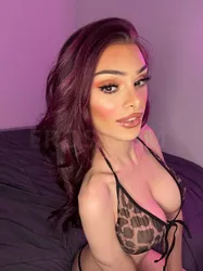 Escorts Boston, Massachusetts TS Teesha Santana