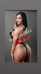 Escorts Denver, Colorado ⭐️ ⭐️🌹PIA🌹⭐️⭐️