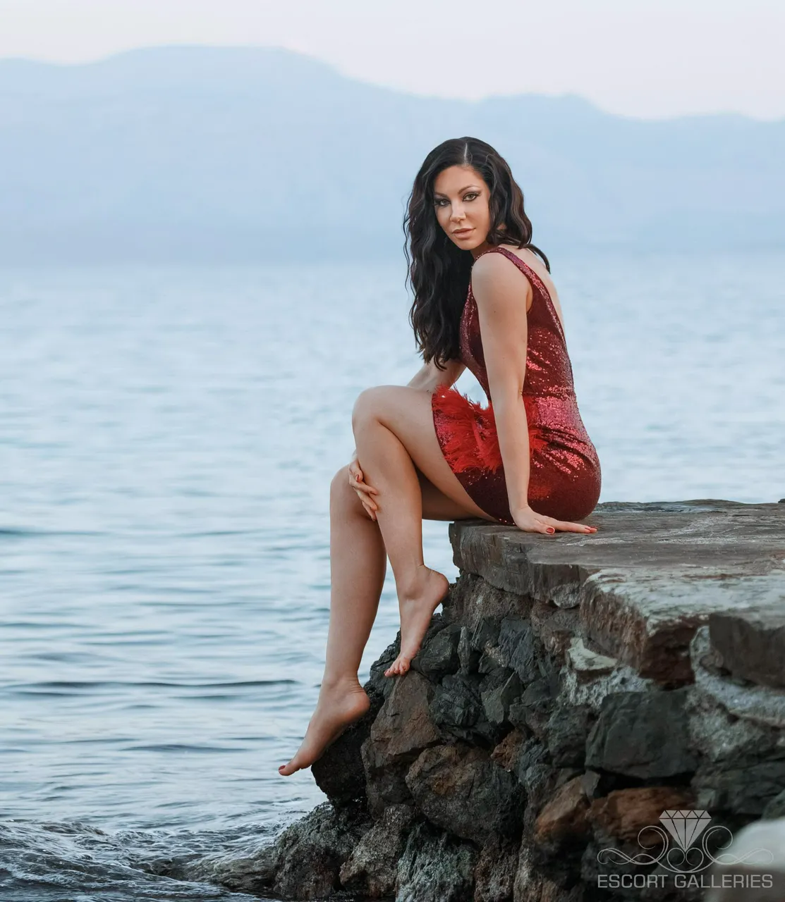 Escorts Zurich, Switzerland null