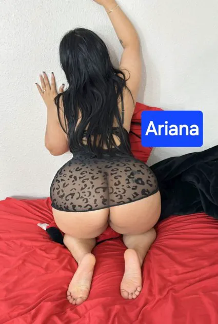 Escorts Houston, Texas Ariana