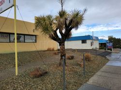 Albuquerque, New Mexico Blue Roof Massage