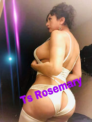 Escorts Madison, Wisconsin Sexy top Shemale Rosemary