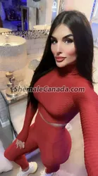 Escorts Ottawa, Ontario NOORSTAR