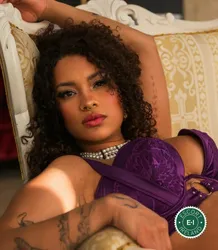 Escorts Dublin, Ireland Ambar Dulce