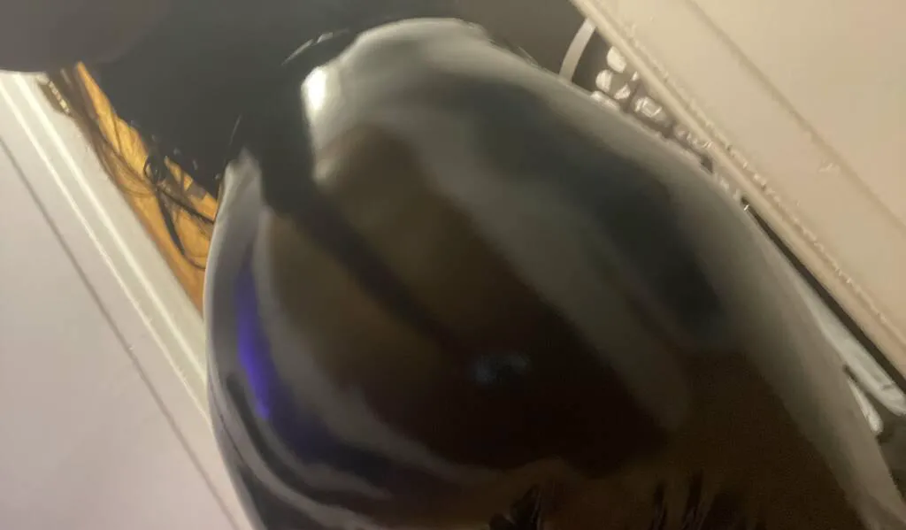 Escorts Niagara Falls, Ontario Selia