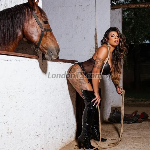 Escorts London, England Miss horse XXL