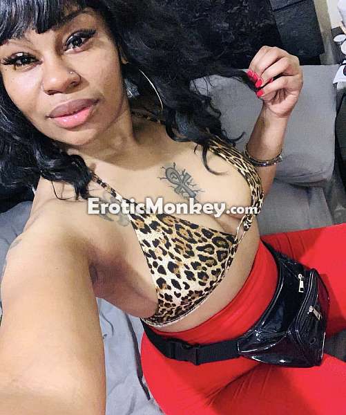 Escorts Cherry Hill, New Jersey Maja
