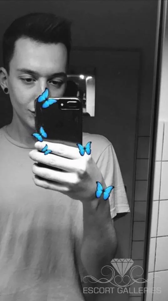 Escorts Germany null