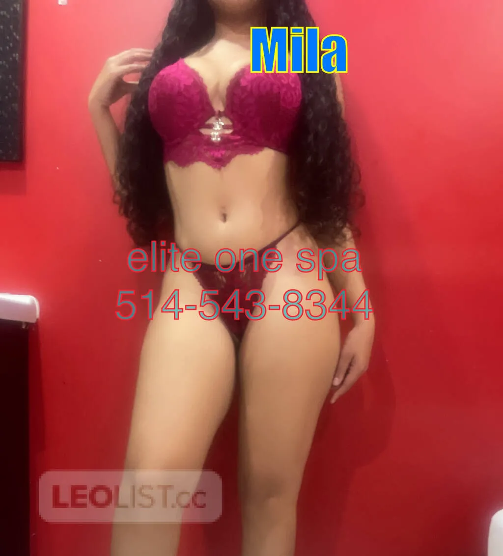 Escorts Montreal, Quebec SASHA& 12 other girls