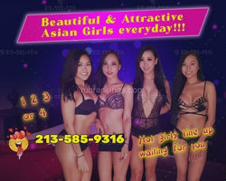 Escorts Nashville, Tennessee 4 Asian girls everyday!!!