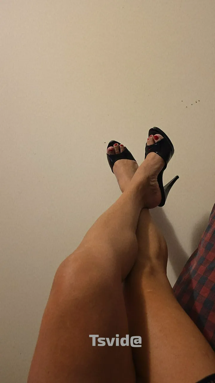 Escorts New Brunswick, New Jersey 🚨TsVida🚨