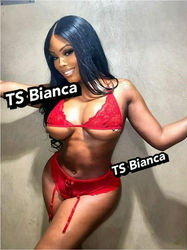 Escorts The Bronx, New York 💋AVAILABLE NOW!!❄Young Sexy French TS Bianca 👅💦👄100% Caribbean💛💙 100% Real👄💦👅👑